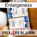 Enlargenexx kamagra1